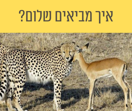 מהי התנועה של שלום?