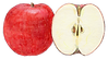 1207178.png