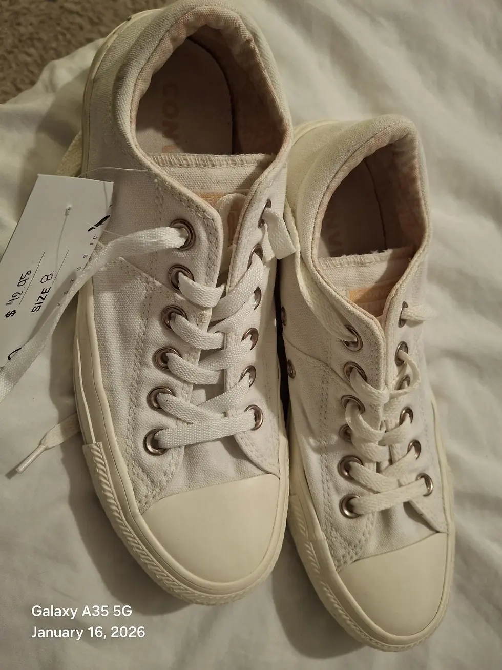Women's size 8 Converse Chuck Taylor Boys size 6 White Low Tops work school play
