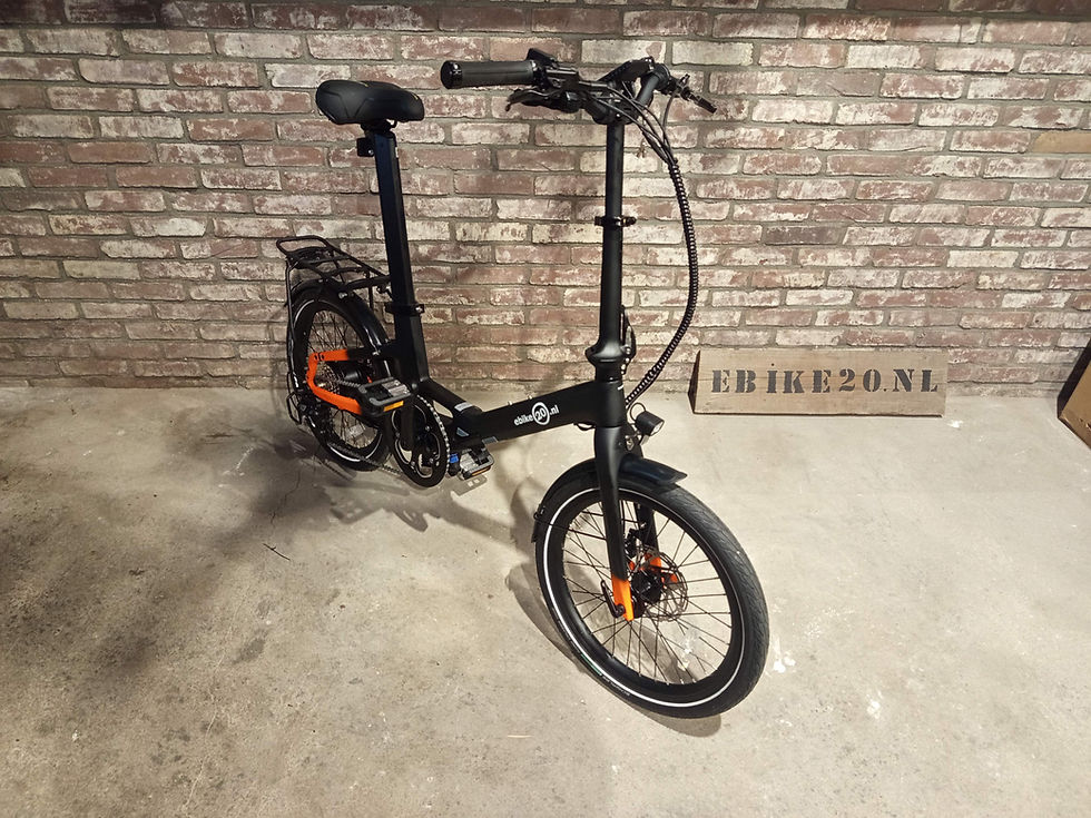 Ebike20 Carbon Easy 1