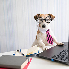 istockphoto-1349130044-612x612.jpg