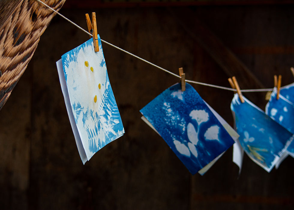 hmf2025_ek-79 (2).jpg