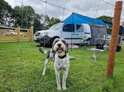 526182502_122155110176481267_8672946794548400672_n