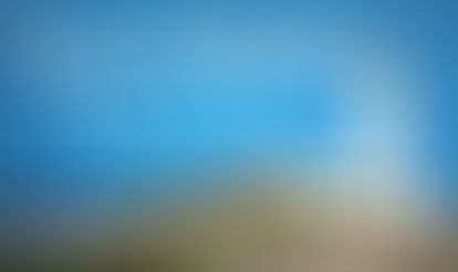 Support from R W Mann Trust