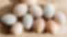 white-eggs-egg-hatch.jpg