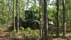 A green bulldozer navigates a dense forest, pushing fallen branches. Sunlight filters through the trees, casting dappled shadows.