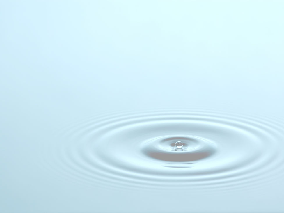 header image for home page (1)_edited.jpg