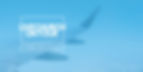 Blue Clean Flight Ticket Sale Landscape Banner(7).jpg