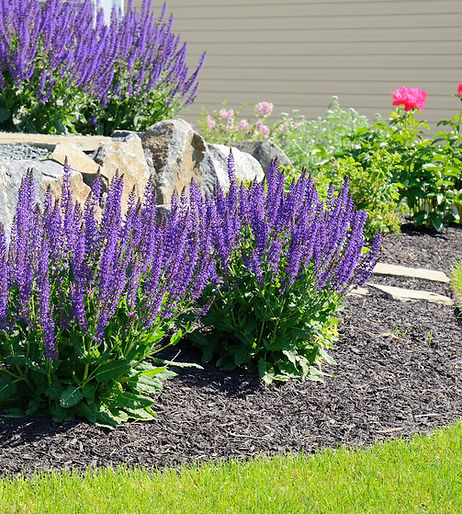 Arlington, MN Lawn Care