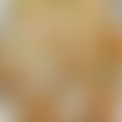 Chips deluxe met gerookte zalm of garnaaltjes