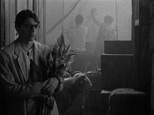 vencedores em cannes: miguel gomes e daniel soares levam cinema português ao mundo