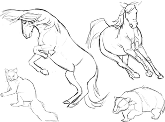 Animal Study Collection Photoshop cat horses badger