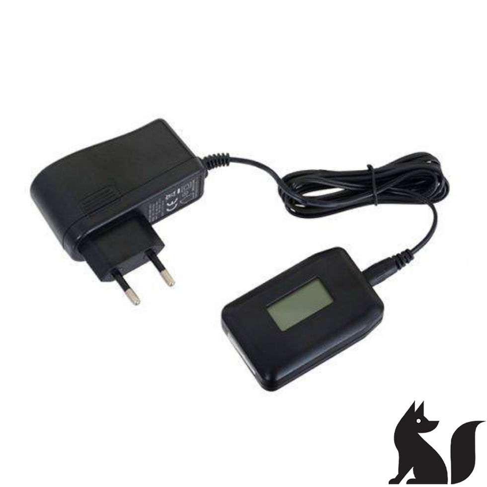 Digital display Balencer Charger