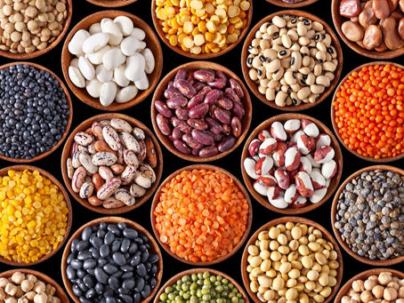 Conclusion : Les moteurs agricoles et alimentaires de la prospérité