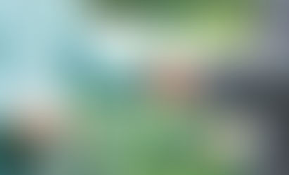 Coopération, confiance... ...et alimentation: les fondations du progrès économique