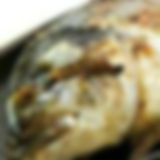 DORADA PLANCHA