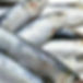 SARDINAS PLANCHA