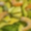 AGUACATES Y LANGOSTINOS