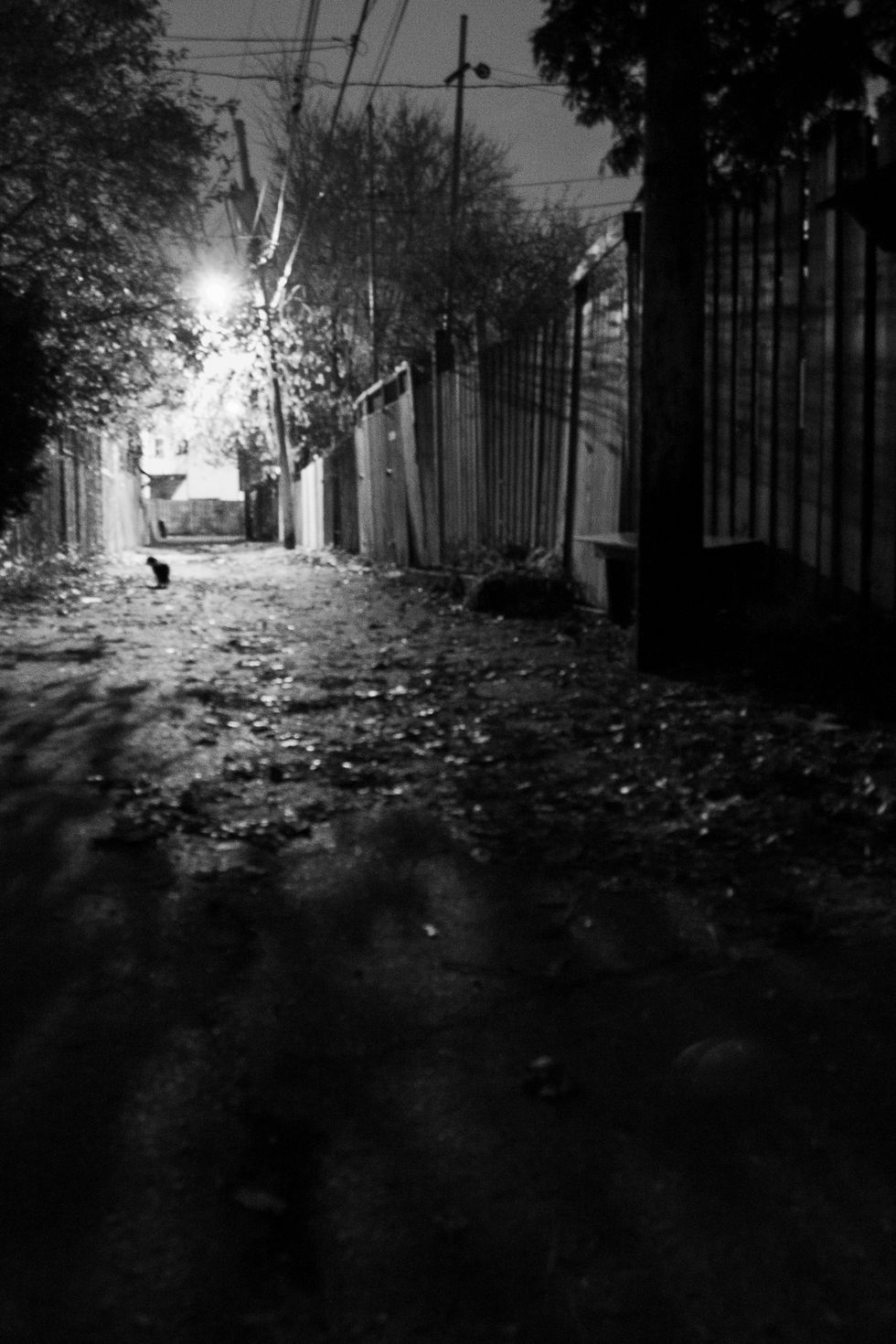 Les ruelles #4