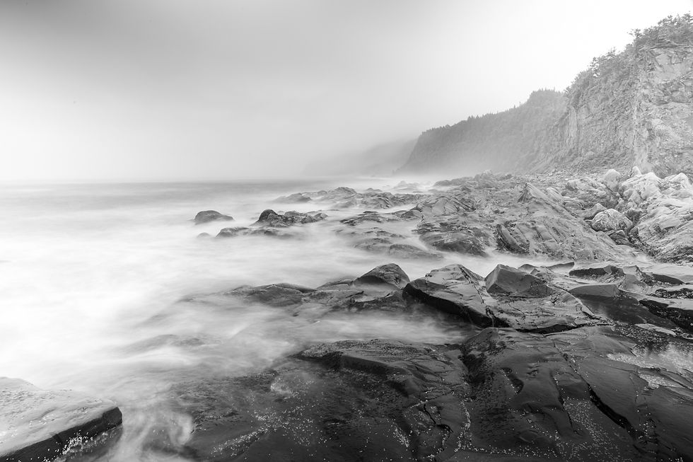 _43A0907.jpg