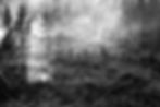 Planter_des_arbres_02_1822.jpg
