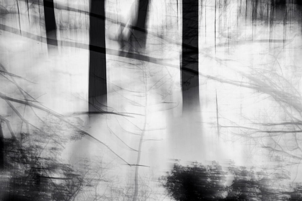 L'effroi #30