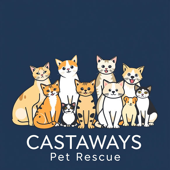 a large group of happy cats and a few dogs.CASTAWAYS Pet Rescue modern font and navy bac