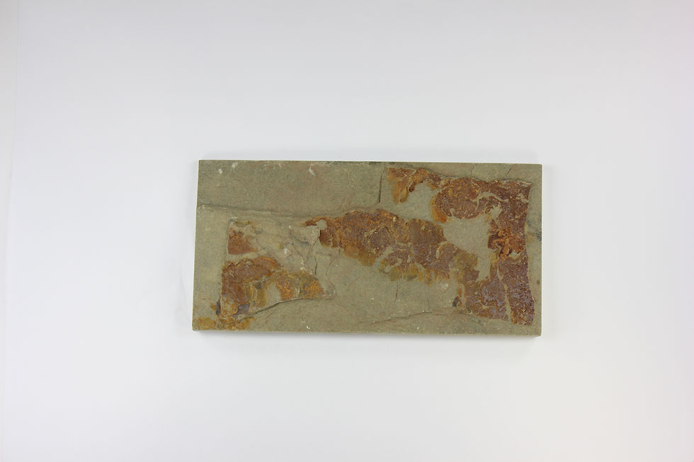 Thumbnail: Natural Look 4" x 8"