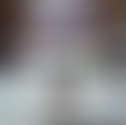 Dog-Friendly Corvallis Neighborhoods: A Pet Parent’s Guide