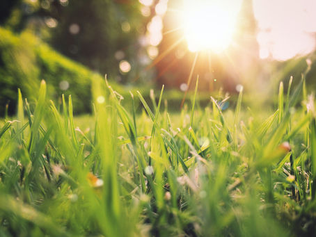 Seasonal Revival: A Personal Narrative About Heeding the Call of Spring
