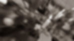 0O2A9940_edited.jpg