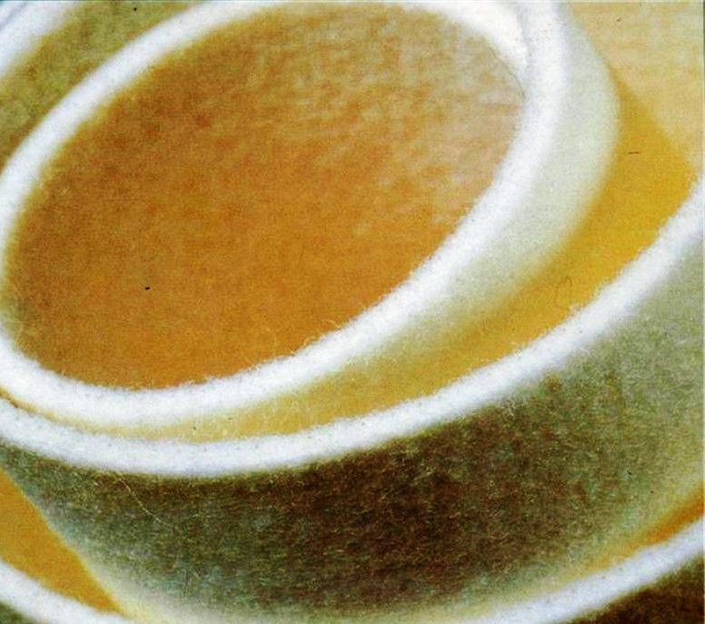 pl17588098-synthetic_press_felt_and_pick