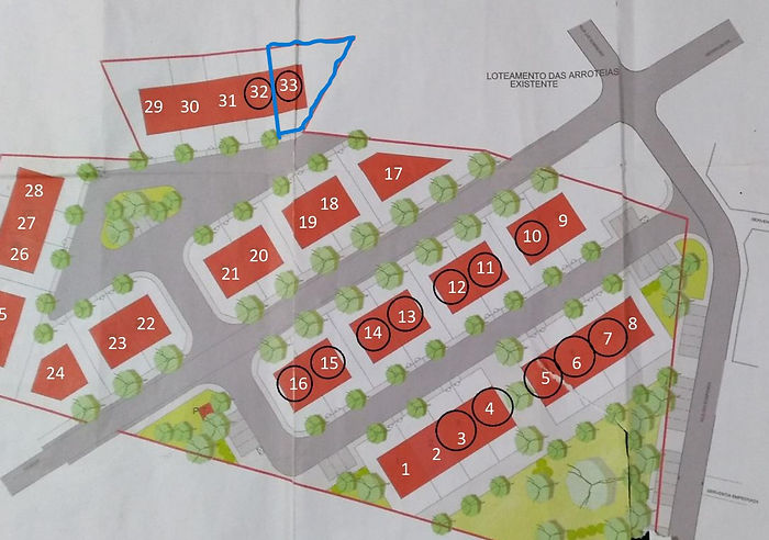 Plans of the plot development