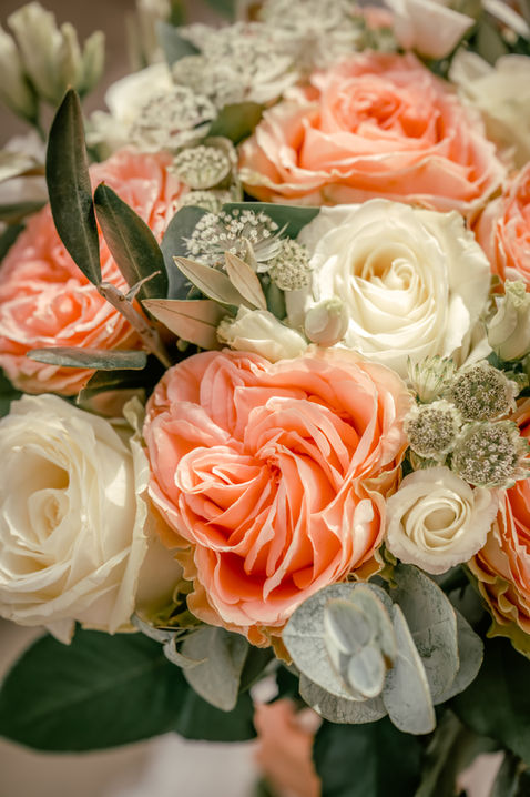 Beautiful soft natural light photography, Burst Photos