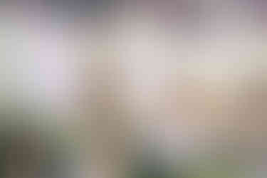 Reception Table Decorations Alfriston Gardens