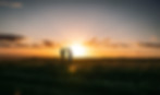 Bride and Groom sunset photo