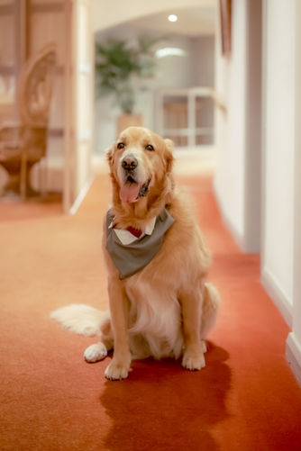 Evening wedding photography