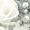 I photograph beautifull natural weddings in East Sussex