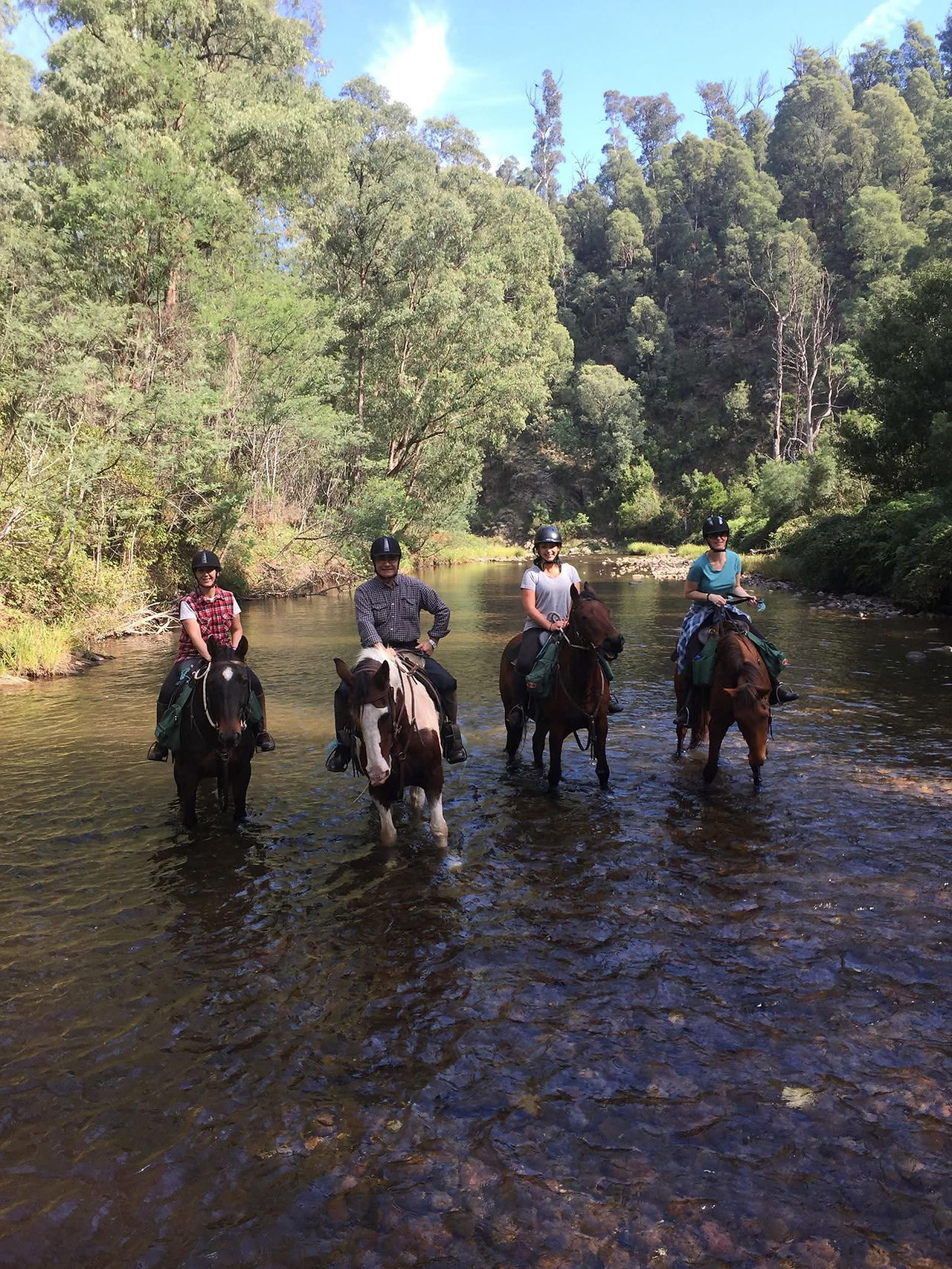 horse riding 
