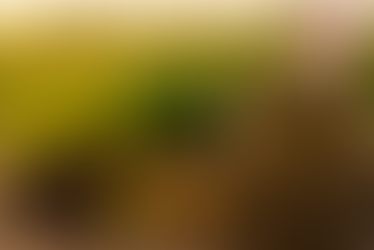 How Mustard Oil Supports Nature Conservation