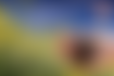 Mustard Oil: A Sustainable Choice for a Changing Planet on Earth Day