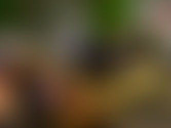 The Ayurvedic Link Between Mustard Oil and Chhath Puja