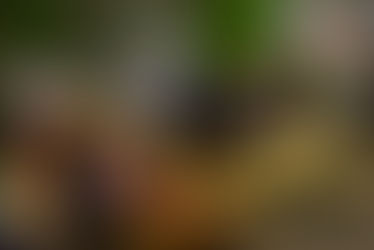 The Ayurvedic Link Between Mustard Oil and Chhath Puja