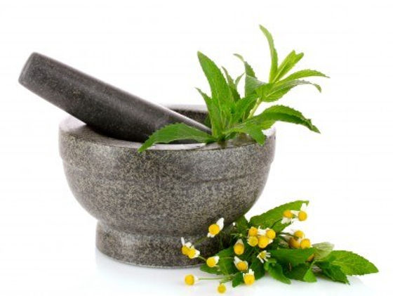 pestle-and-mortar-with-chamomile-and-mint-isolated-on-white