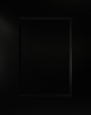 MATTE BLACK SHAKER after color adjusting.png