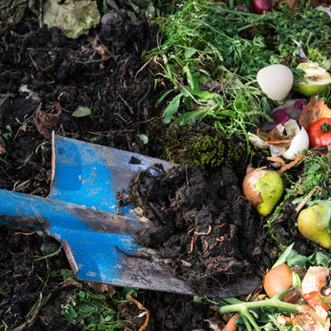 Compost_AdobeStock_451178166.jpeg