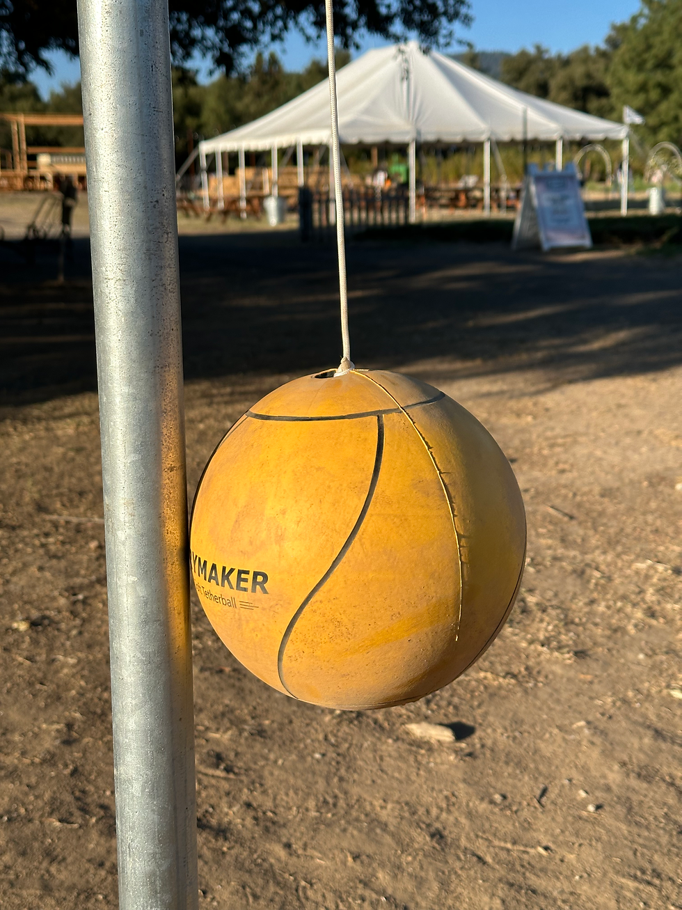 Yard Games