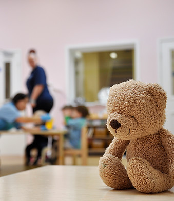 Intsagram Bear.jpg