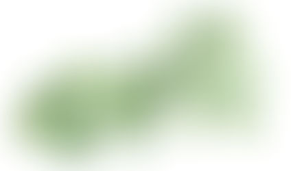 3 Ways to Measure Cassava Leaf Area: Which Method is the Best?