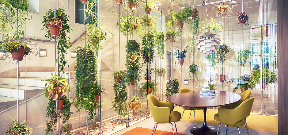 Plant filled contemporary office space